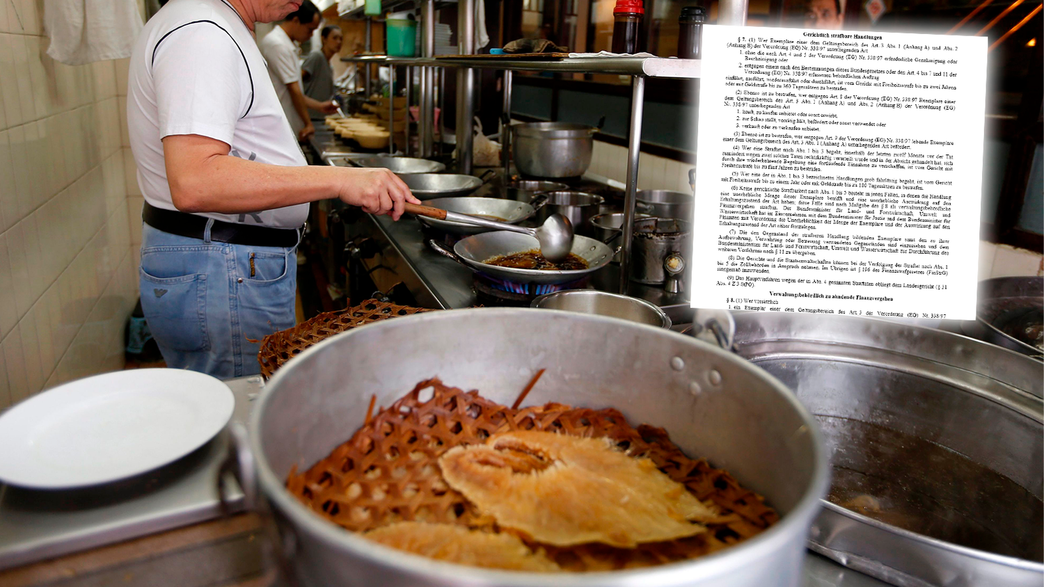 Praktisch wird der Konsum von Haifischflossensuppe nicht mehr möglich sein.