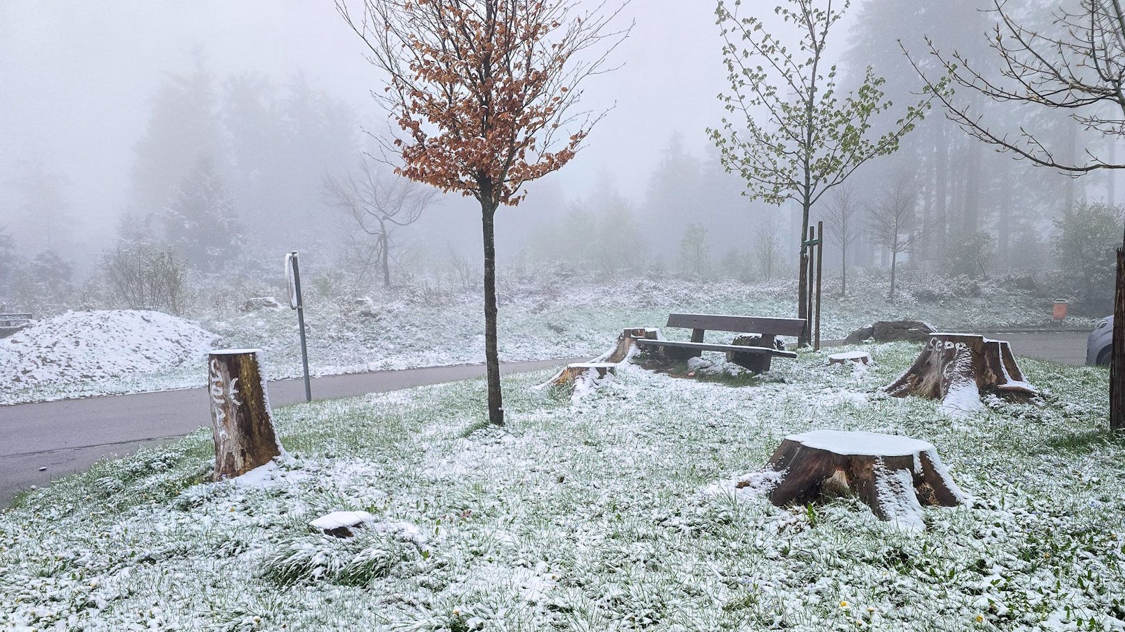 In Lichtenberg bei Linz (Bez. Urfahr-Umgebung) herrschte mitten im April Winterstimmung.