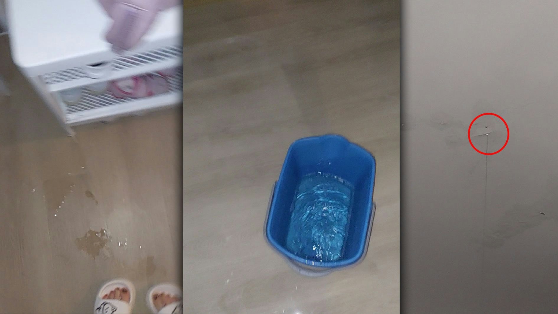 In der neuen Wohnung einer Wienerin rinnt Wasser von der Decke. Das ganze Badezimmer ist ständig nass.