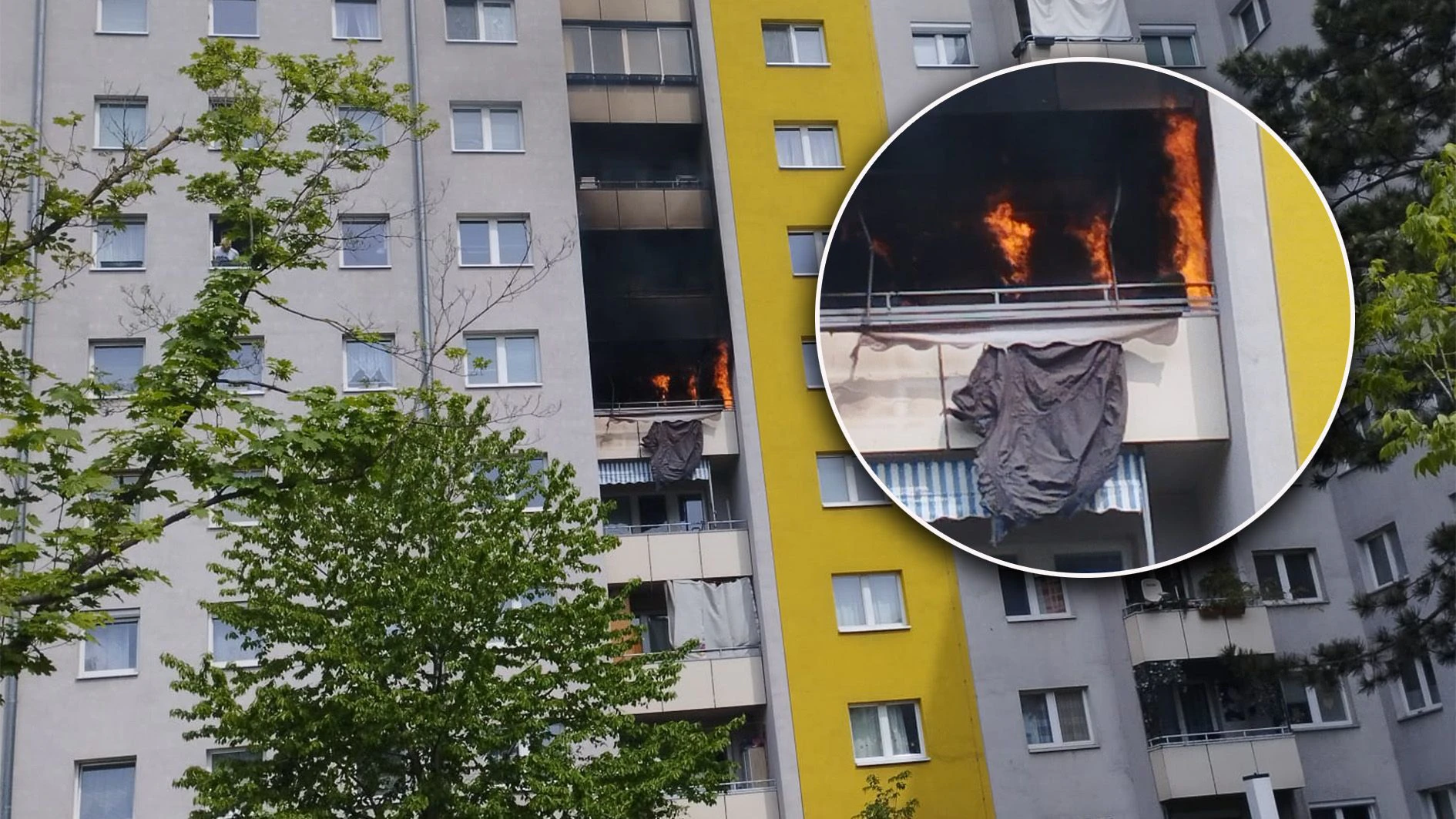 Brennende Wohnung in Floridsdorf! Am Freitag eilte die Wiener Feuerwehr in die Adolf-Loos-Gasse.