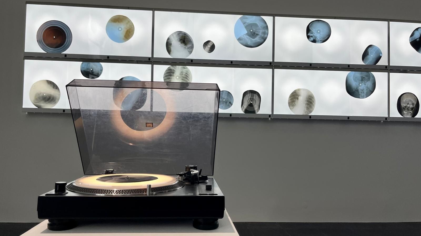 Ein besonderes Hörerlebnis am Lido: Hier drehen sich Röntgenfolien am Plattenteller.