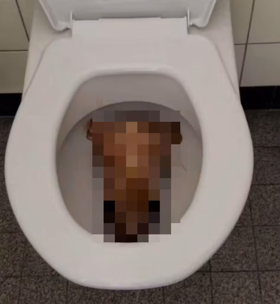 Insgesamt wurden zwei Schafsköpfe entdeckt.