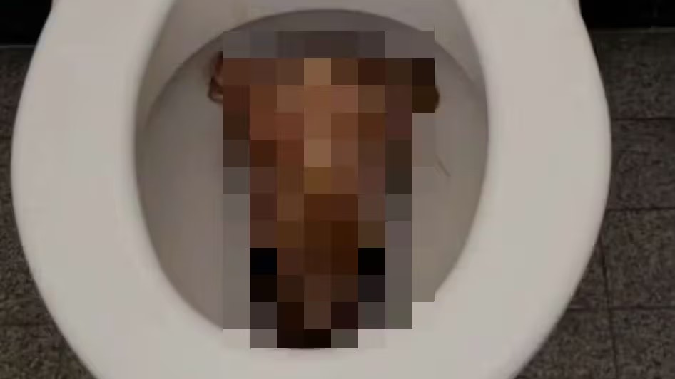 Insgesamt wurden zwei Schafsköpfe entdeckt.