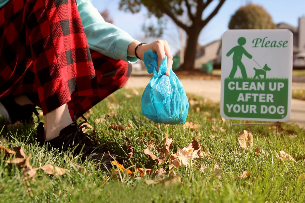 Ein Sackerl Kot war die Tatwaffe. Symbolbild