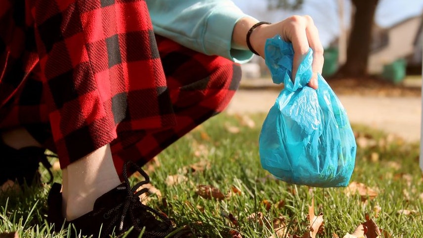 Ein Sackerl Kot war die Tatwaffe. Symbolbild