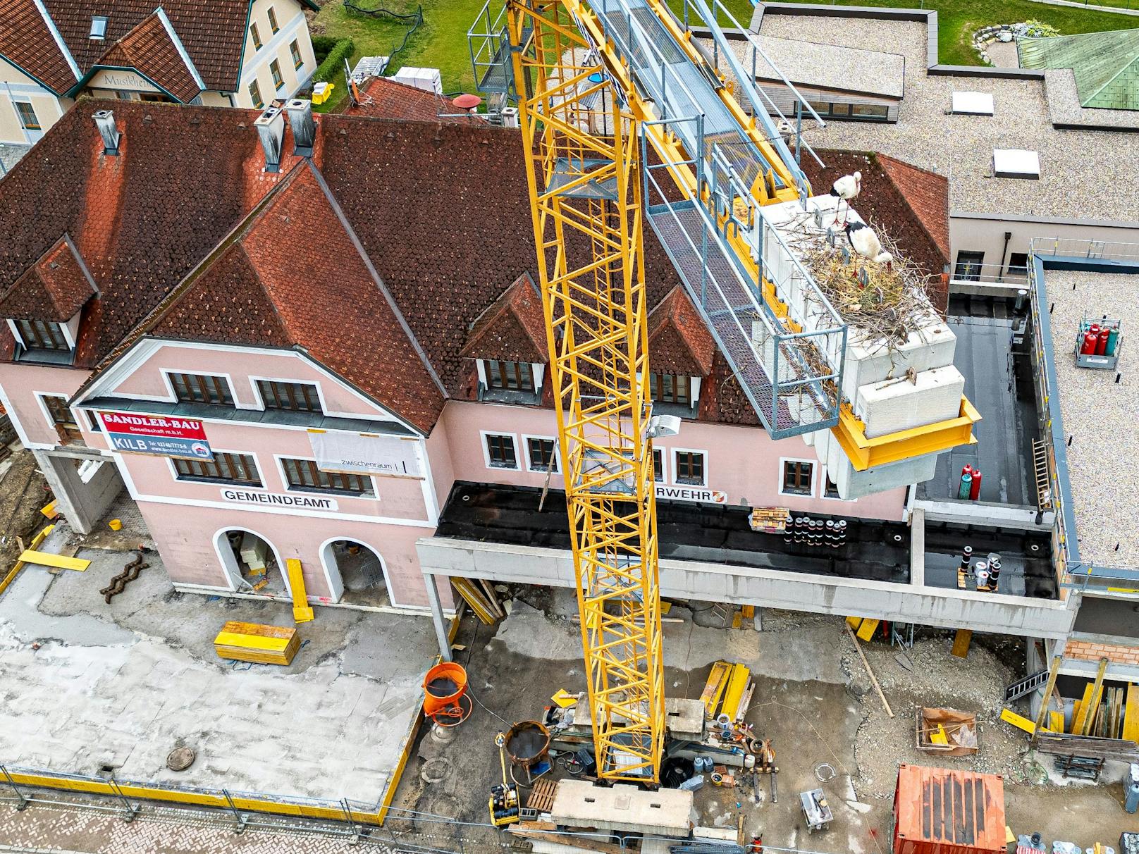 Nicht den Kirchturm, sondern ausgerechnet einen für die Generalsanierung des Gemeindezentrums installierten Baukran hatte ein Storchenpärchen in Kirnberg an der Mank (Melk) für ihren Nestbau auserkoren.