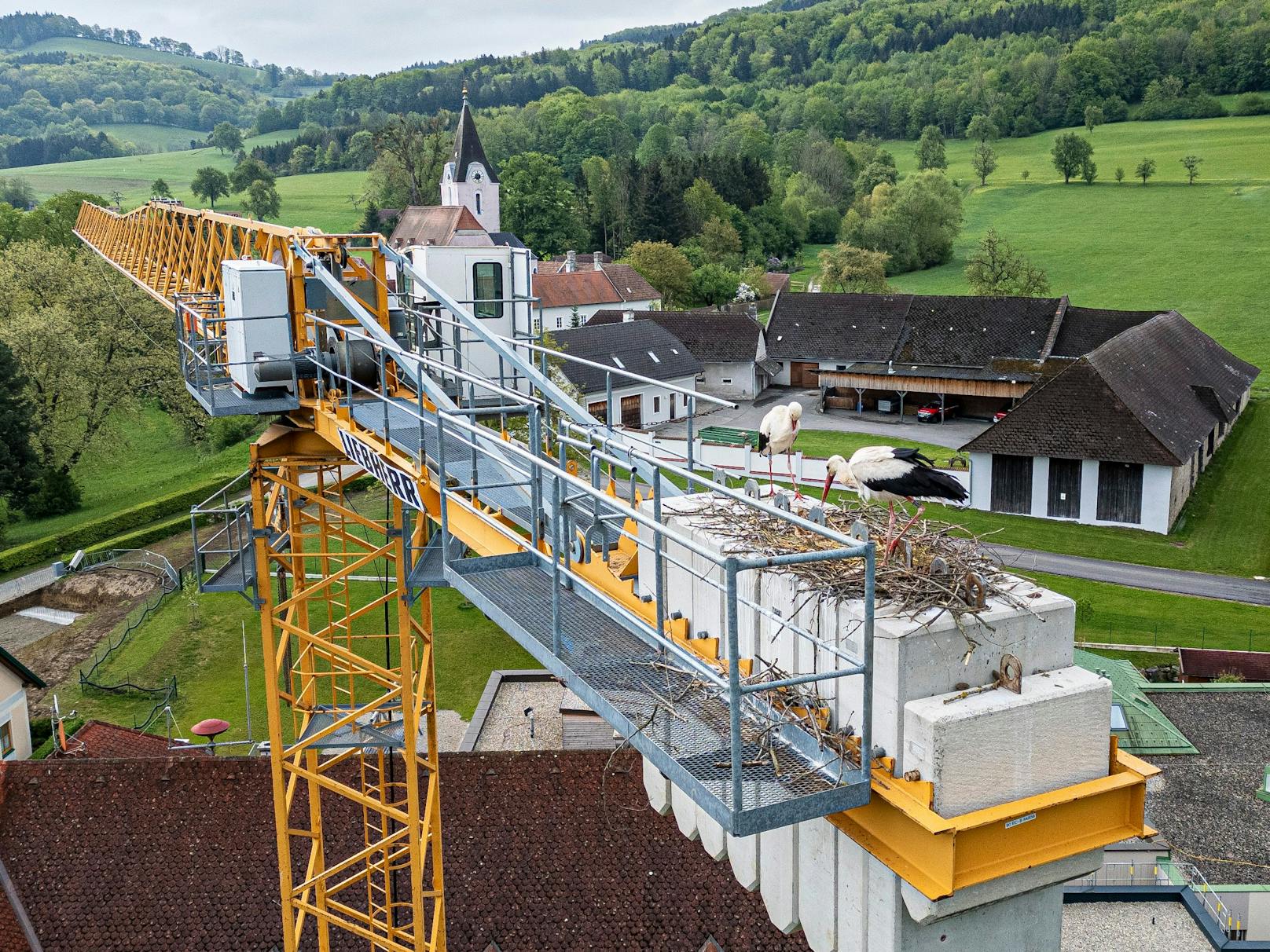 Storchenpaar nistete sich auf Baukran ein