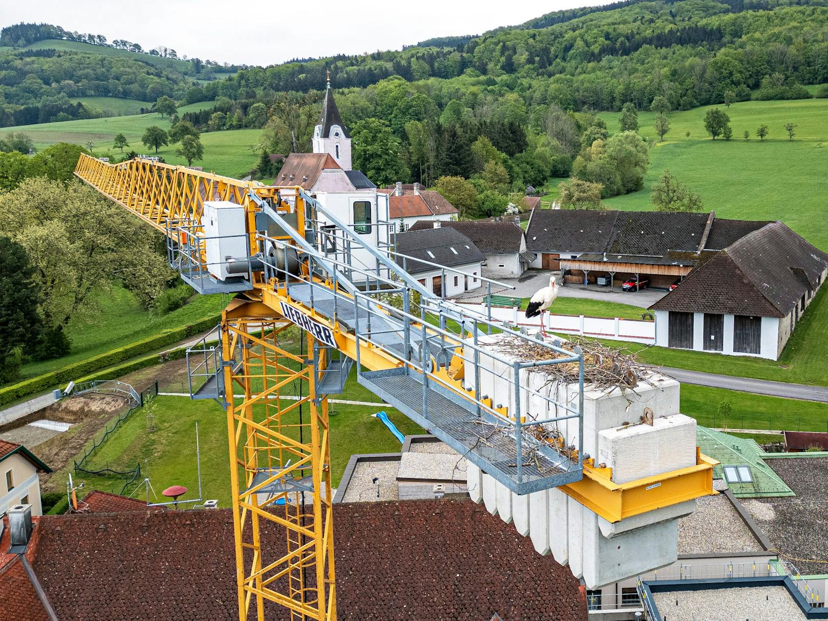 Storchenpaar nistete sich auf Baukran ein