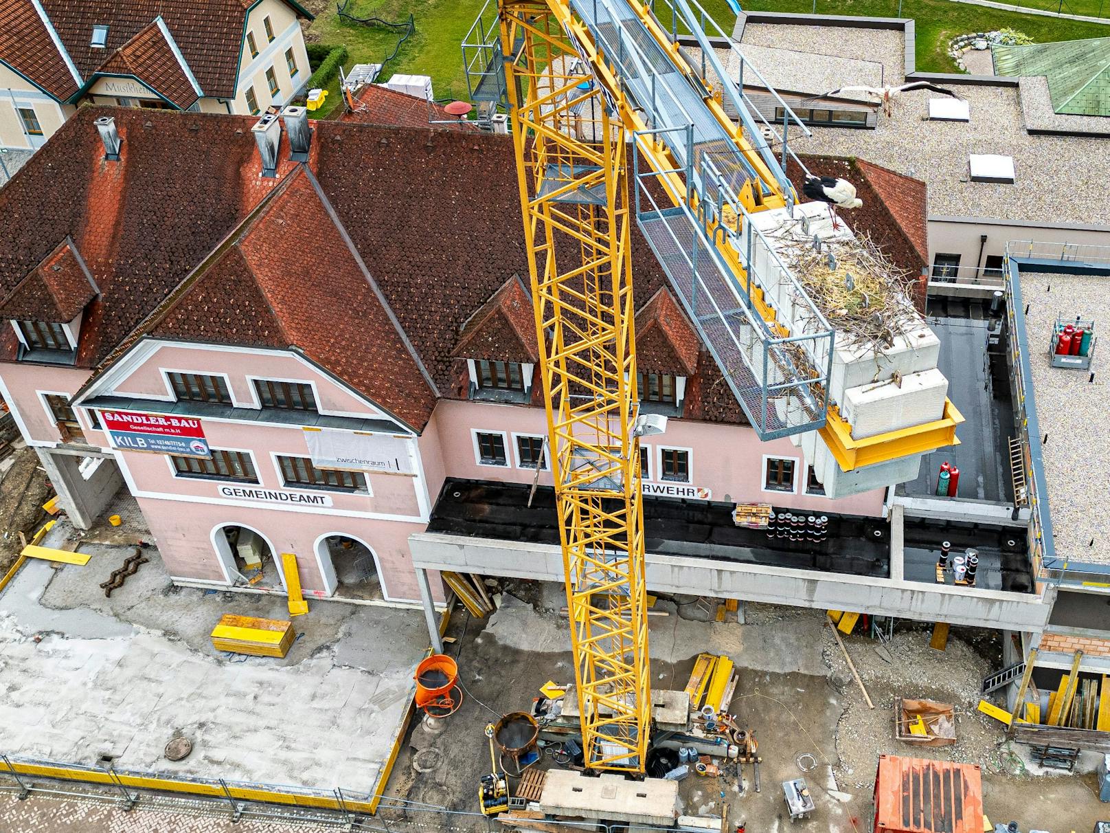 Storchenpaar nistete sich auf Baukran ein