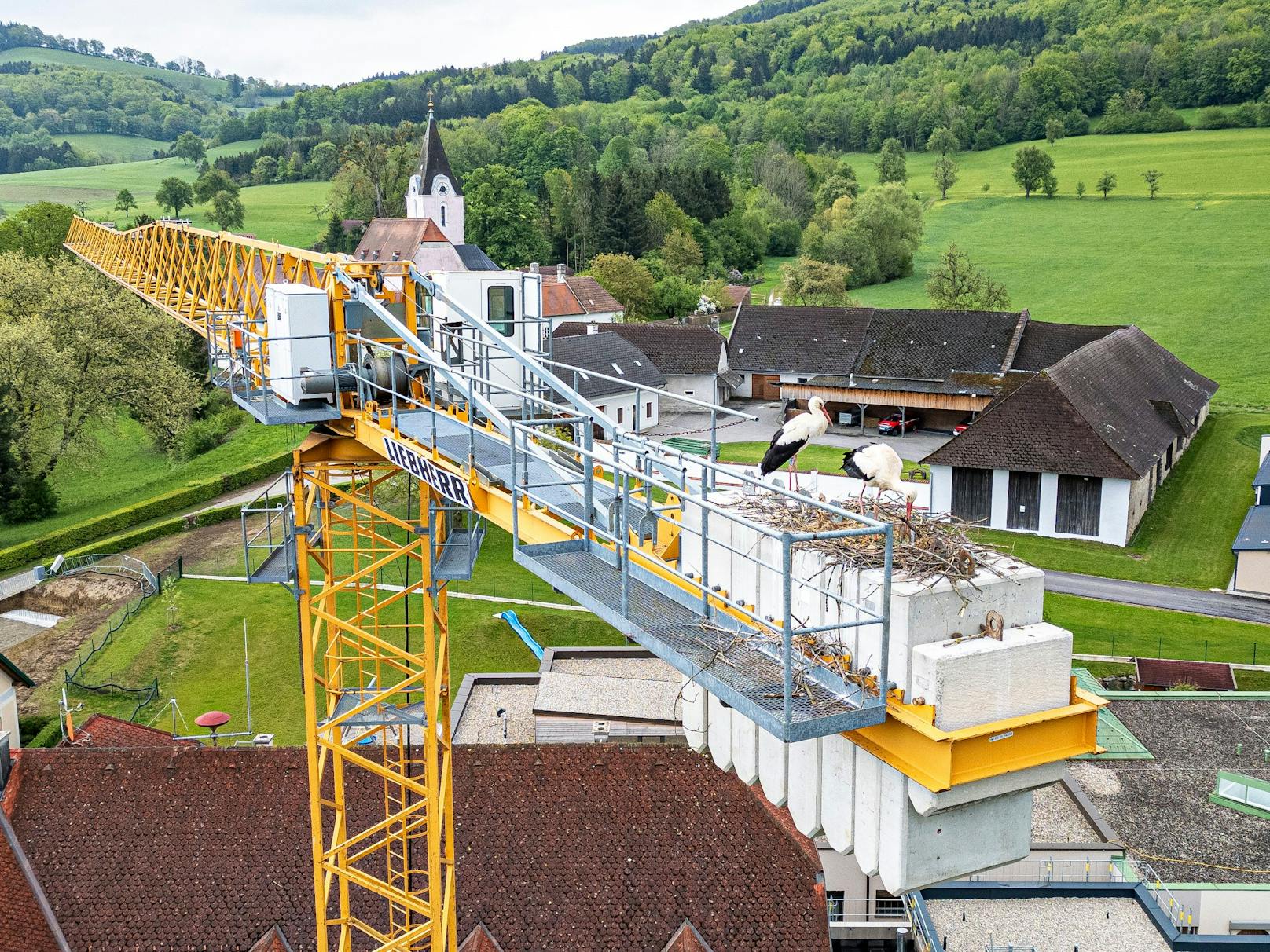 Storchenpaar nistete sich auf Baukran ein