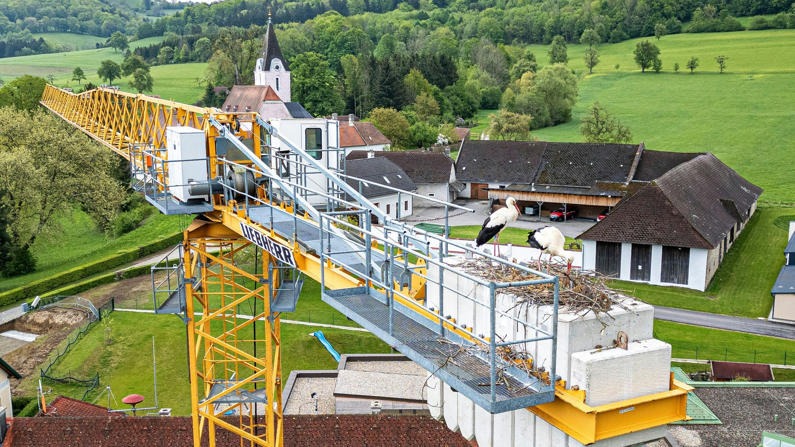 Storchenpaar nistete sich auf Baukran ein