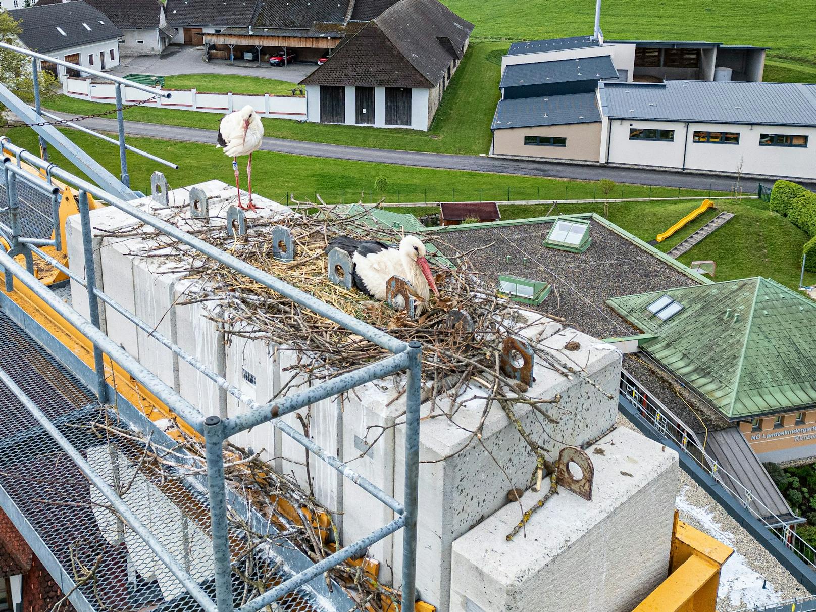 Storchenpaar nistete sich auf Baukran ein