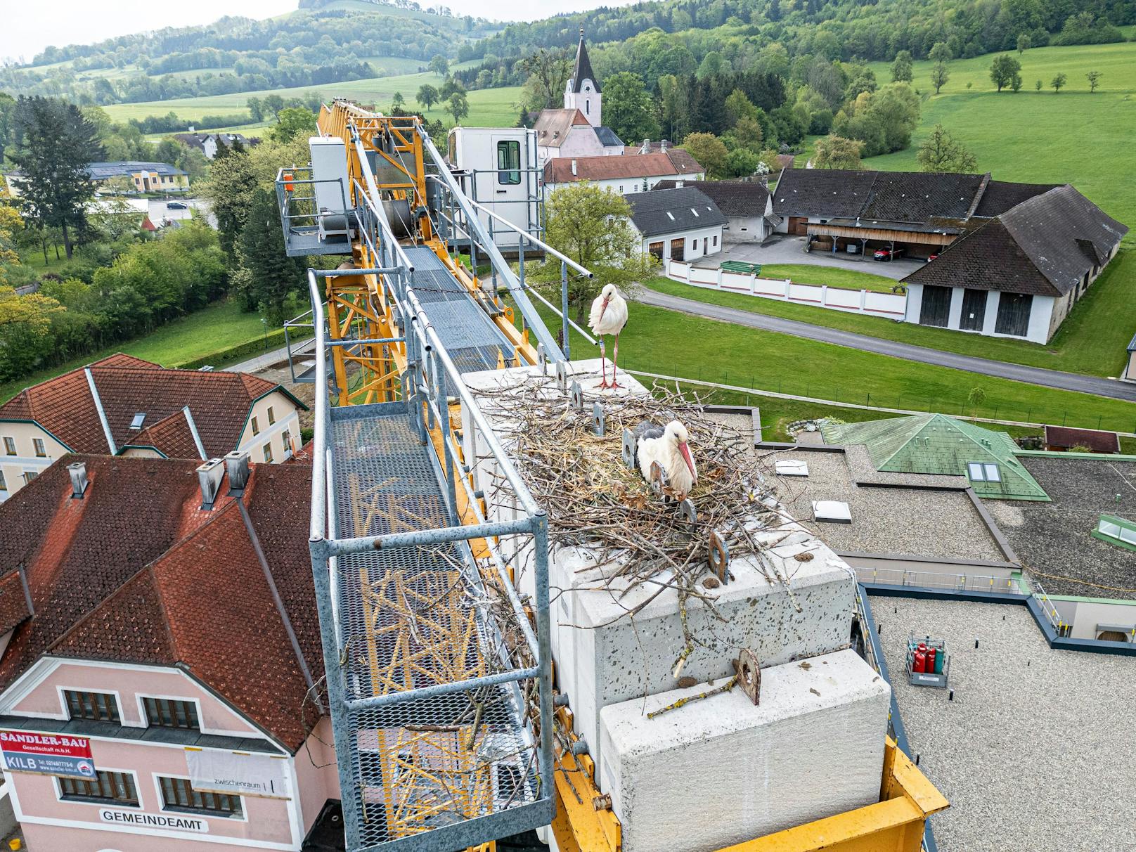 Storchenpaar nistete sich auf Baukran ein