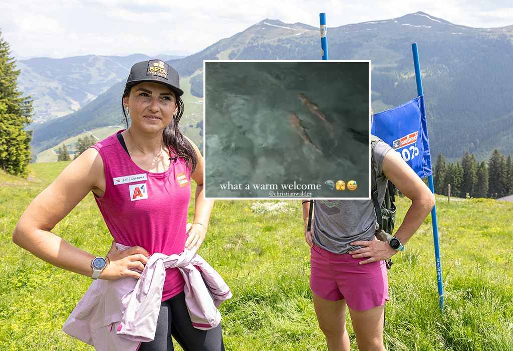 Stephanie Venier und das 