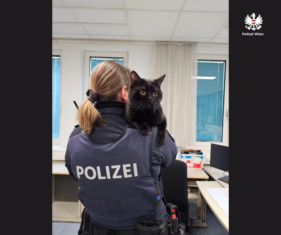 Polizei rettete Kater in Wien-Ottakring. 