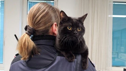 Polizei rettete Kater in Wien-Ottakring. 