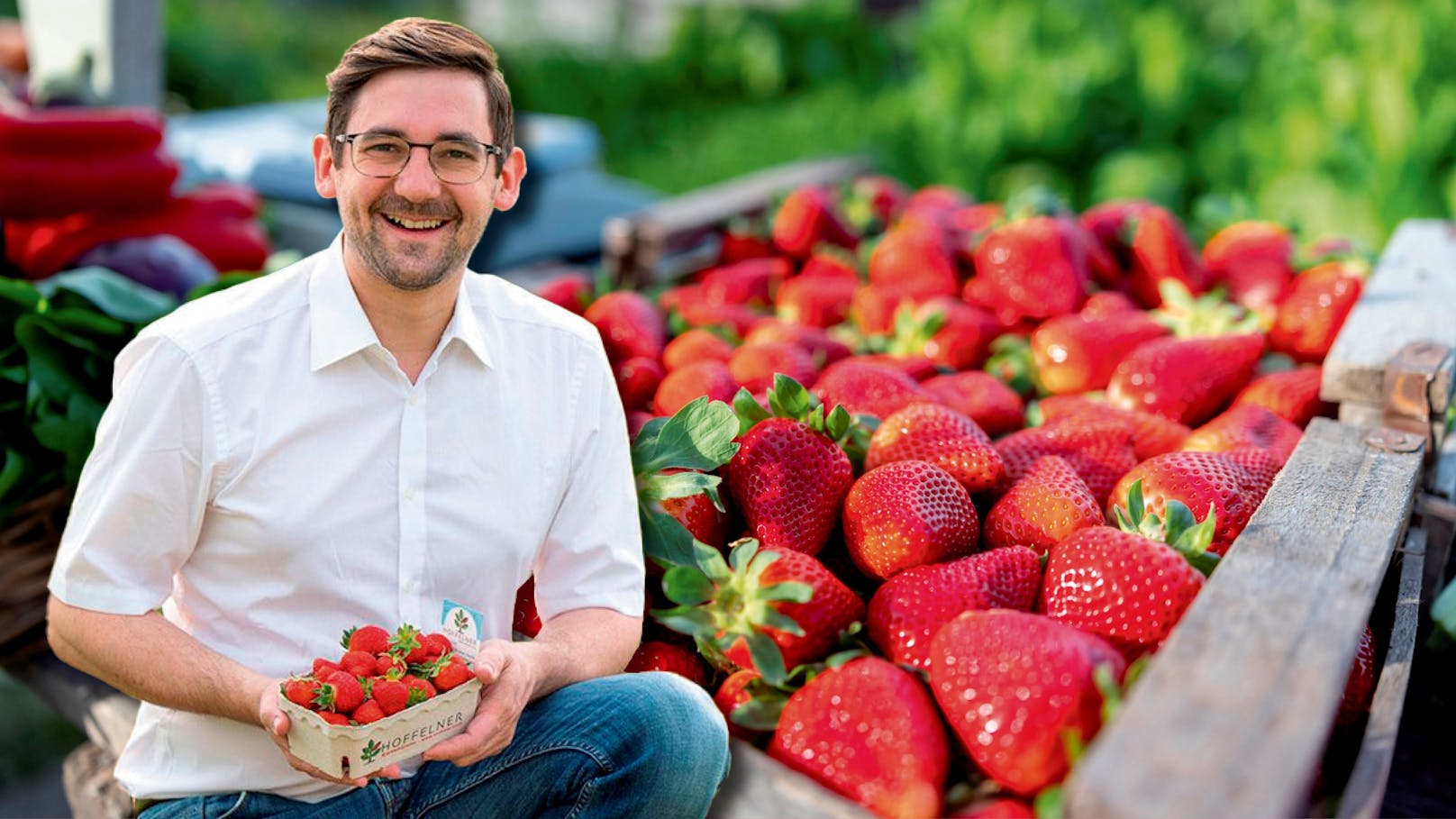 "Werden Preise erhöhen" – Erdbeeren jetzt bald teurer