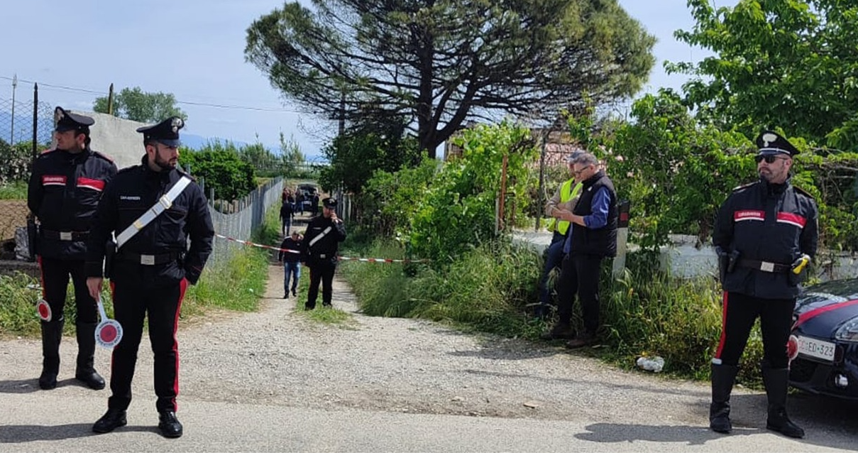 Bei dem Vorfall sollen Pitbulls involviert gewesen sein - die Polizei sperrte das Gebiet ab.