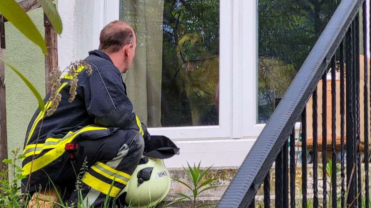 Heute.at - Kein Zutritt! Hund versperrte Einsatzkräften den Weg