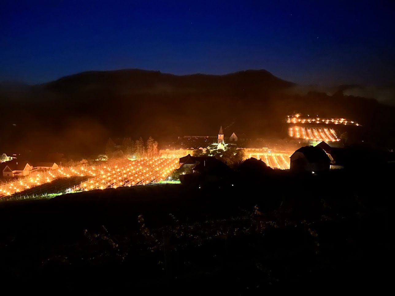 In Krems-Land zittert Winzer FJ Gritsch um seine Weinernte.