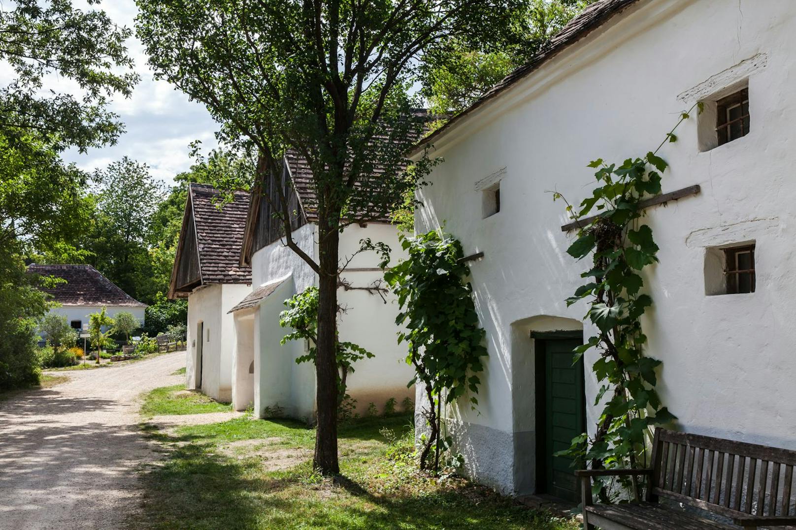 Kellergasse im Museumsdorf