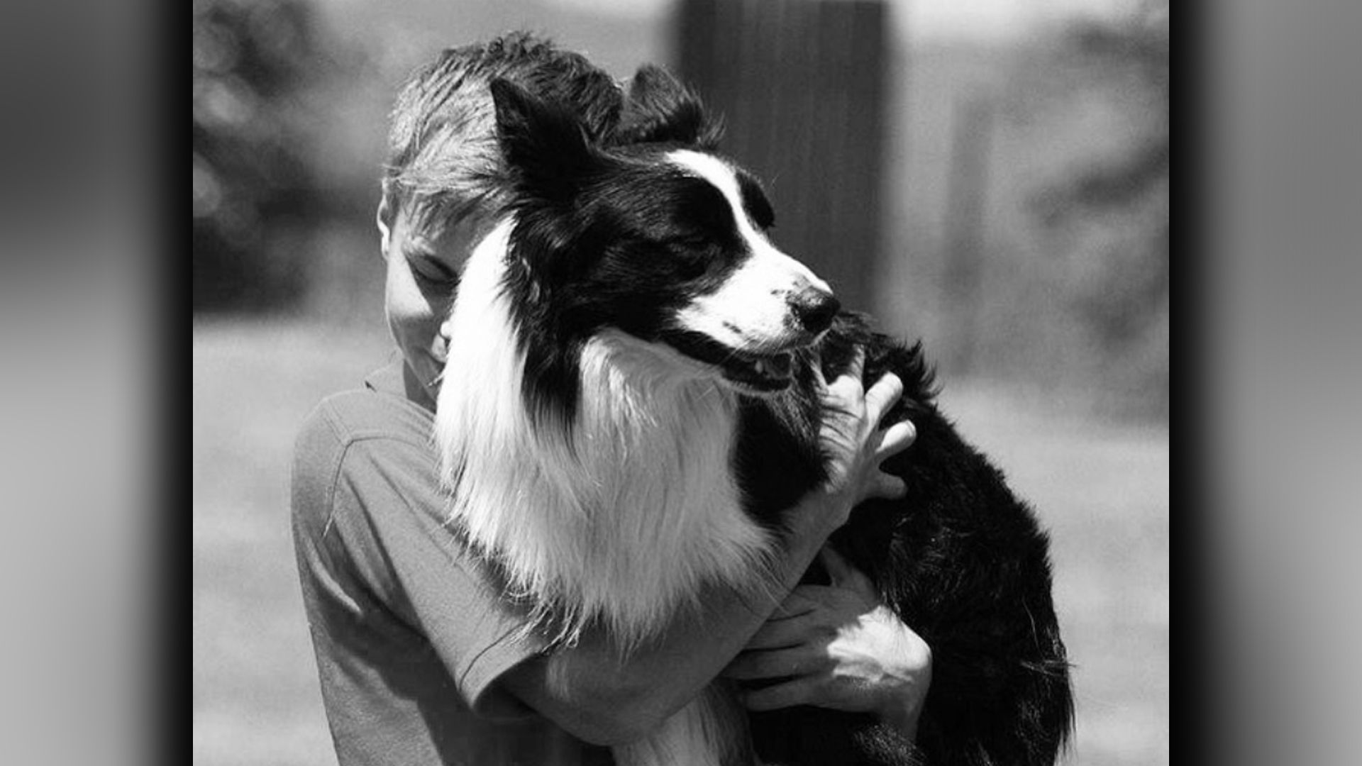 Gute Reise, du bester Hund.