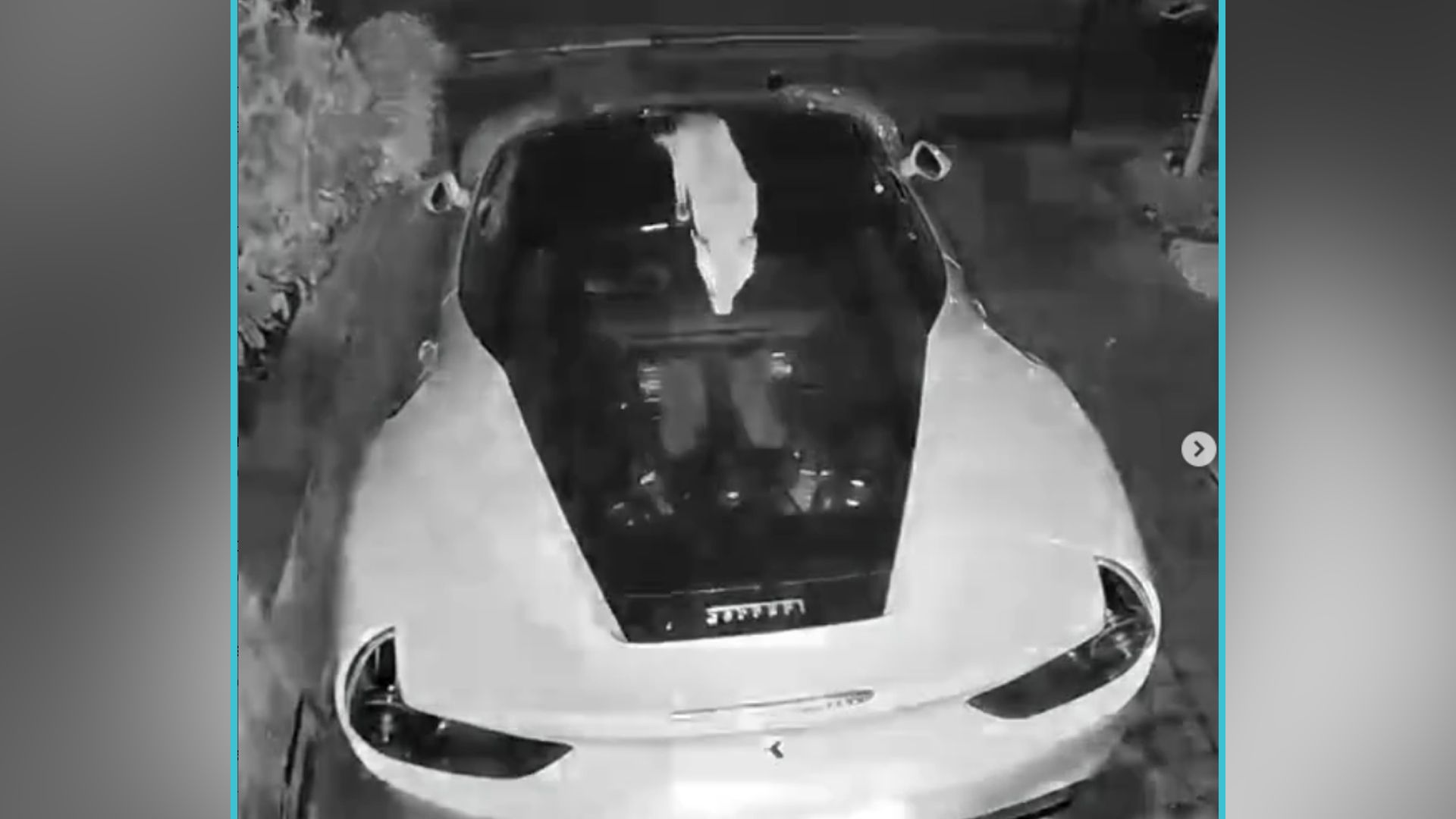 Dieser Londoner Fuchs hat einen Narren an dem Ferrari gefressen.