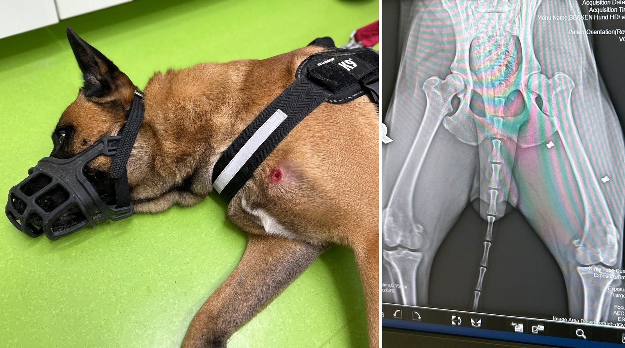 Max wurde dreimal angeschossen, erlitt höllische Schmerzen.