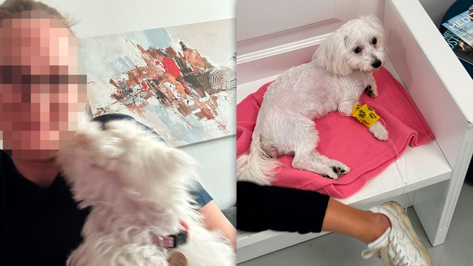 Zorana (42) und die kleine Lola in der Tierklinik.