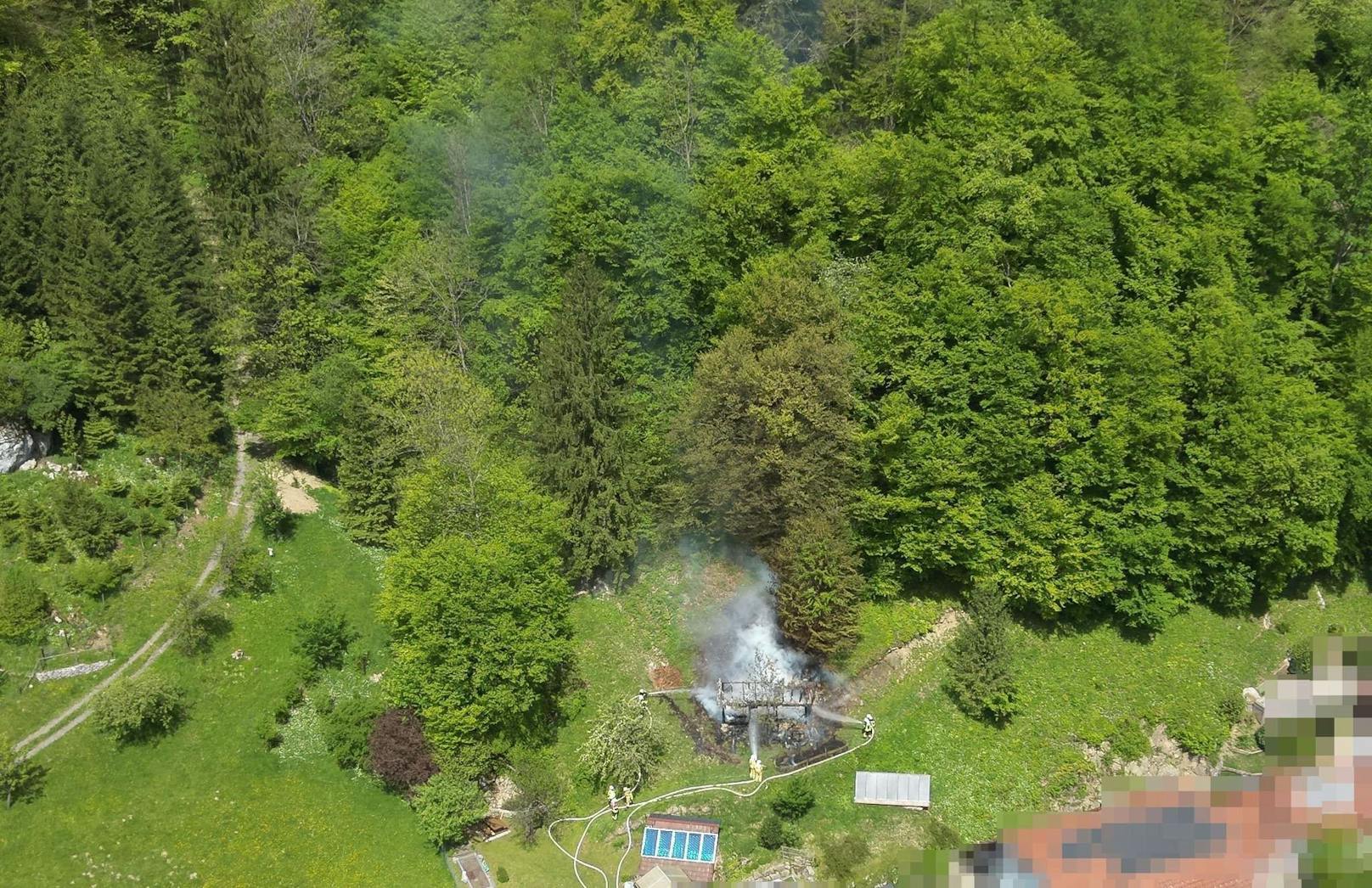 Das Bienenhaus befand sich in unmittelbarer Nähre zu einem Wald