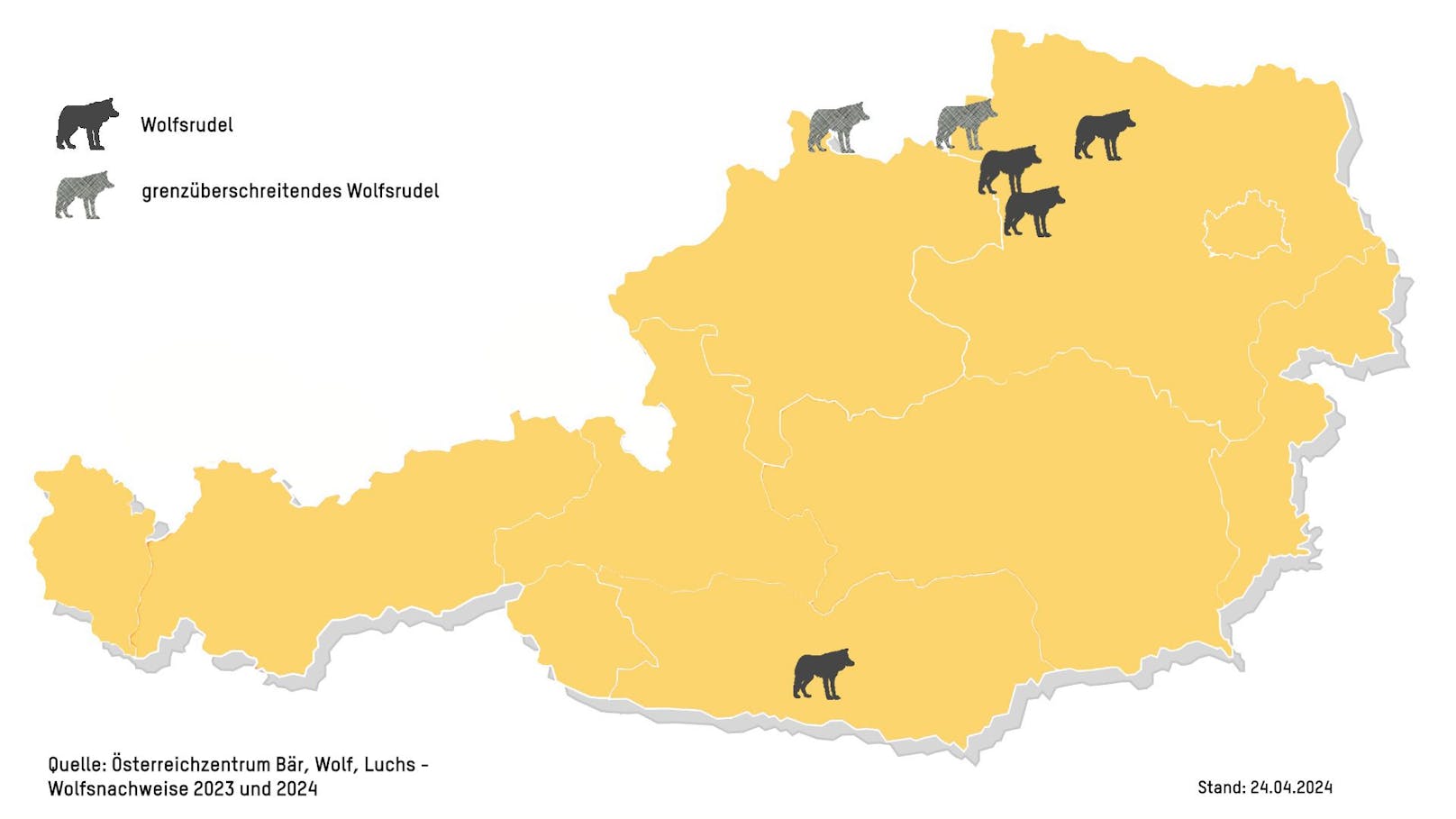 In Niederösterreich sind mehrere Wolfsrudel beheimatet.