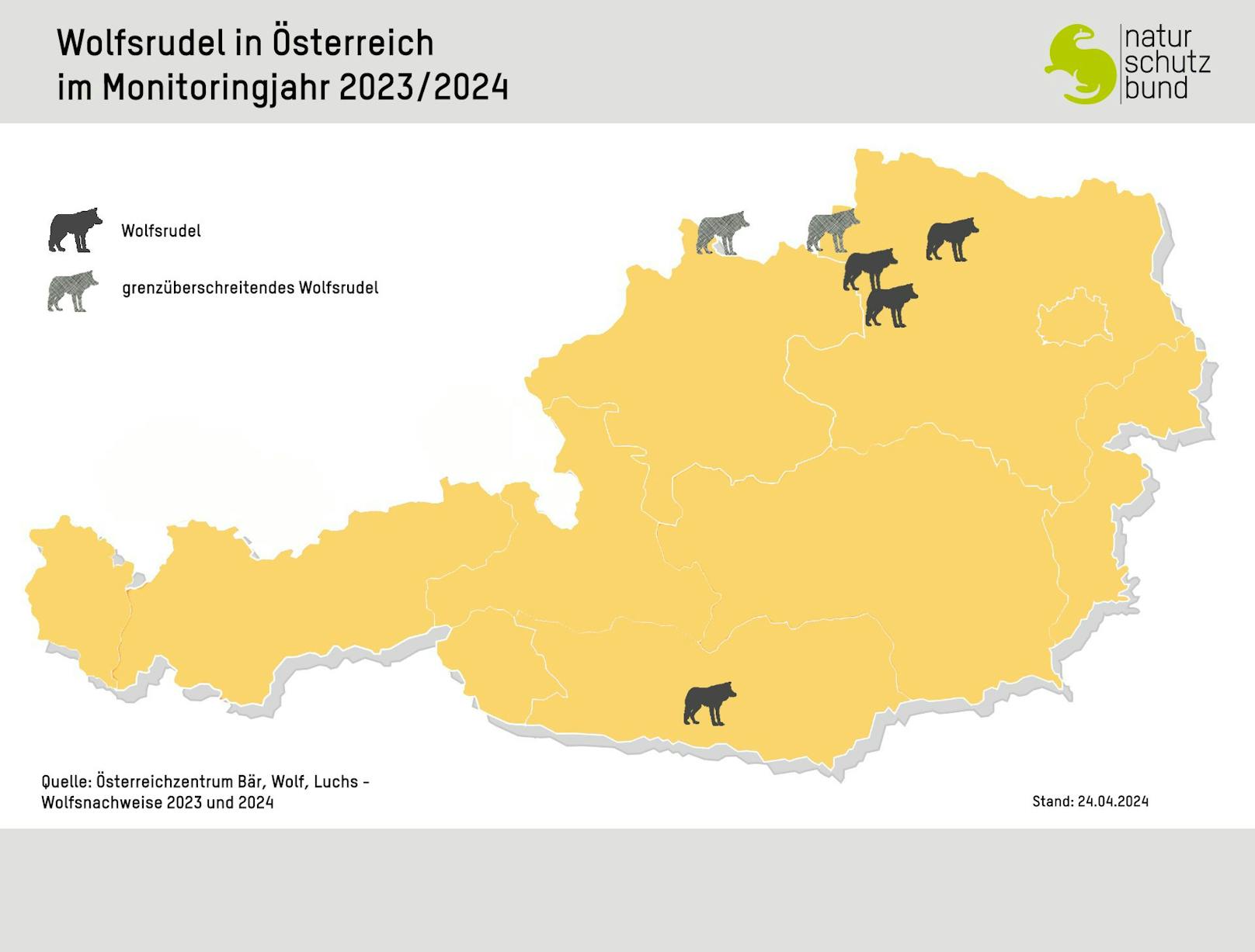 In Niederösterreich sind mehrere Wolfsrudel beheimatet.