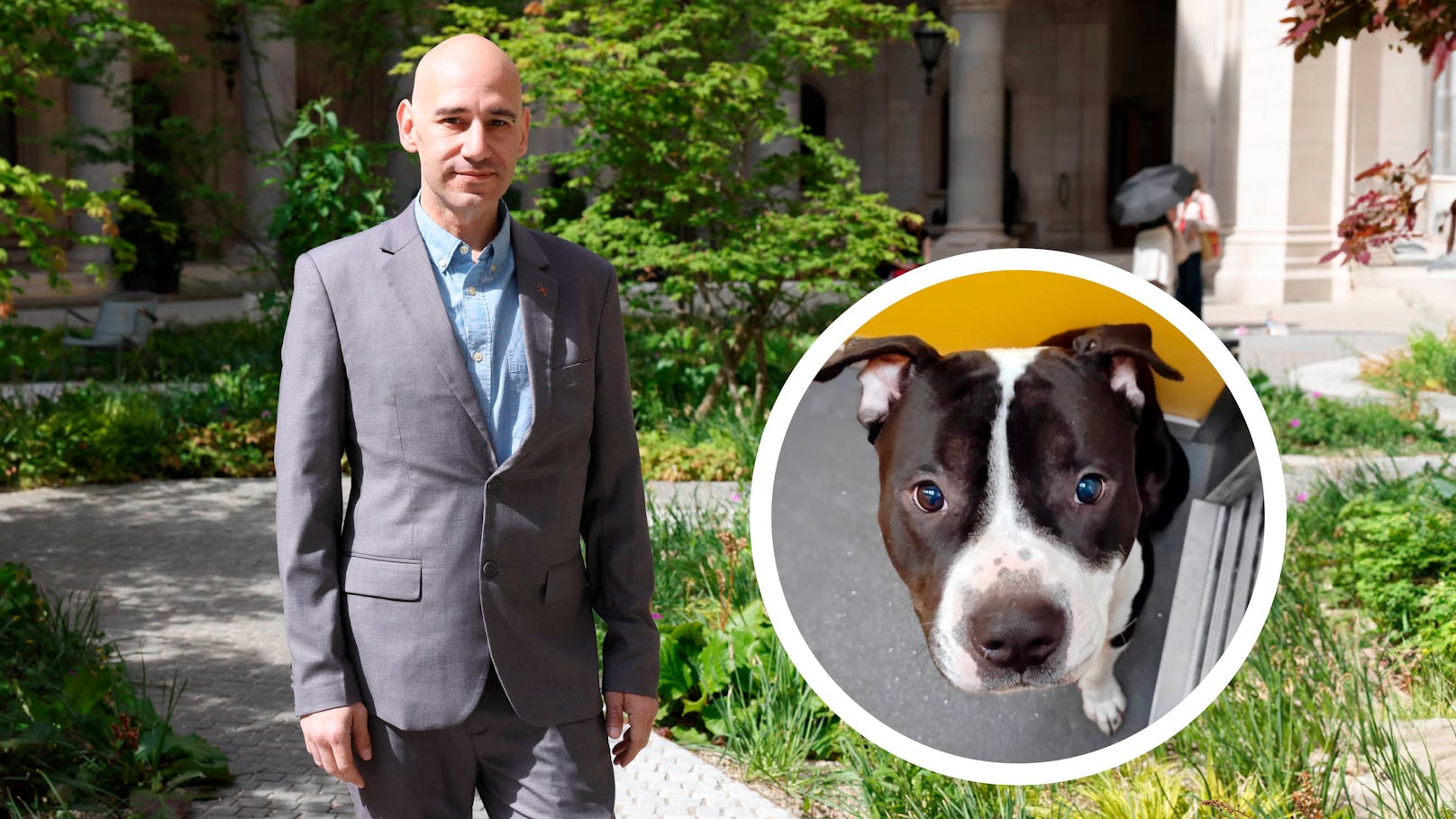 Fabio (40) und sein amerikanischer Staffordshire Terrier Zorro