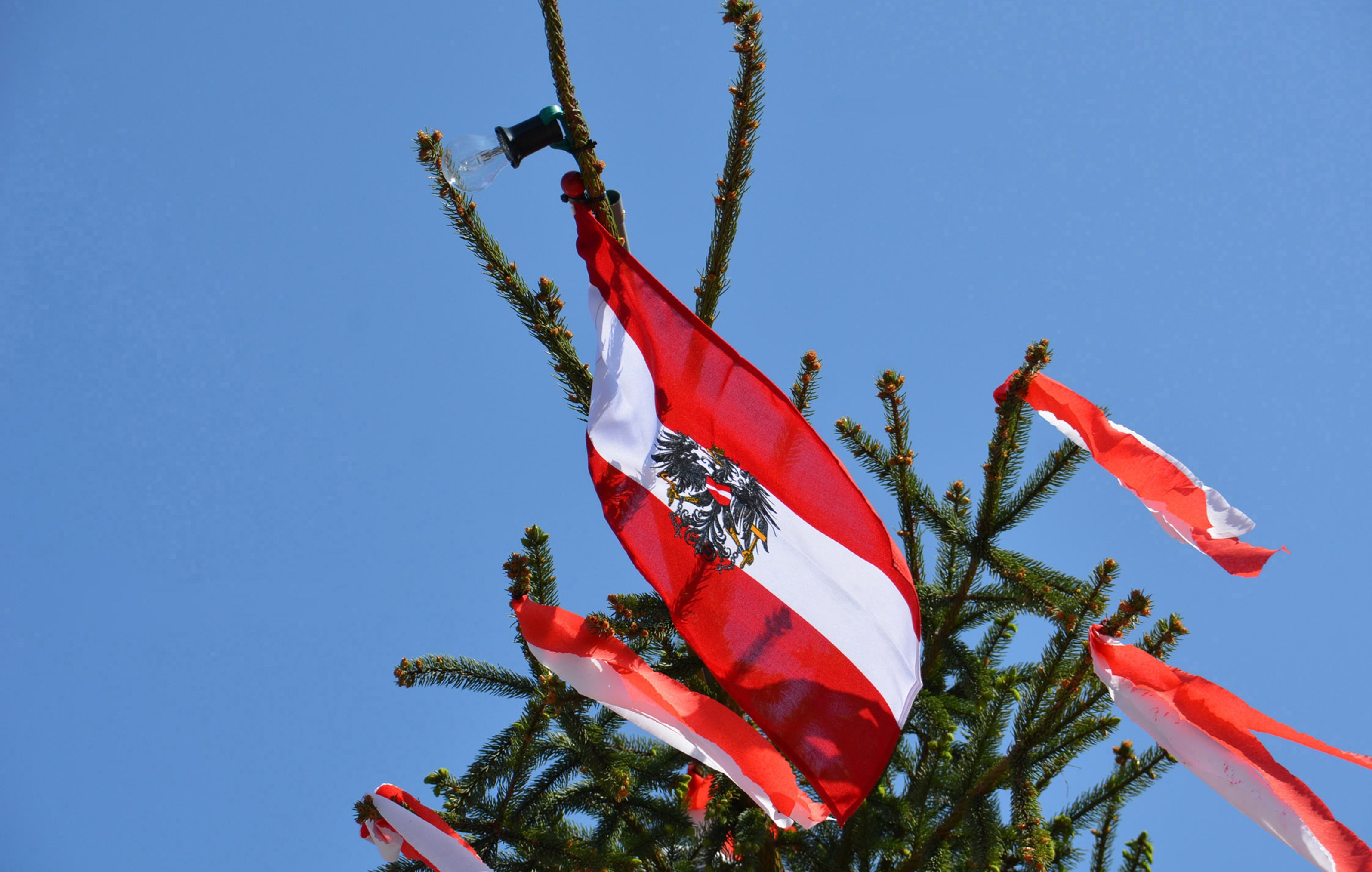 Der 1. Mai verspricht bestes Wetter. (Archivbild)