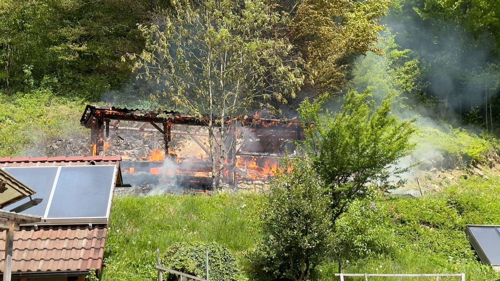 Die Flammen griffen im Bienenhaus rasch um sich. Die darin befindlichen Bienen sind verendet.