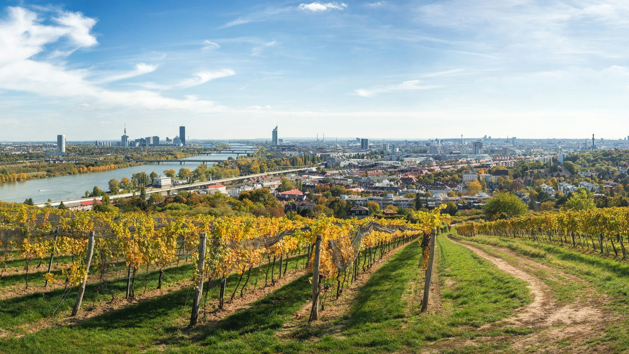 Der Wiener Gemischte Satz ist ab sofort offiziell eine EU-Geschütze Bezeichnung.