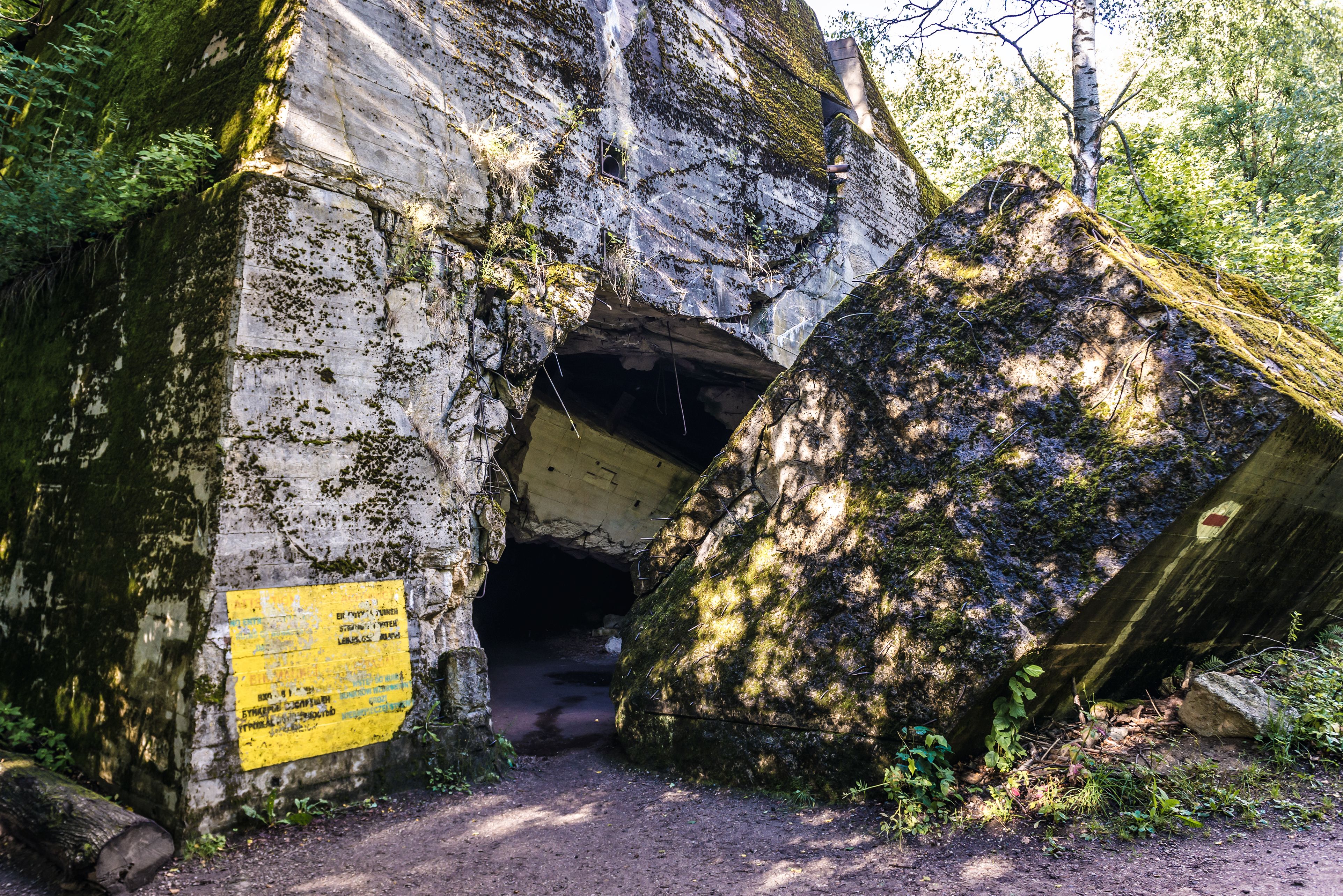 Die Ruinen des Bunkers von Hermann Göring galten eigentlich als gründlich erforscht. (Archivbild)