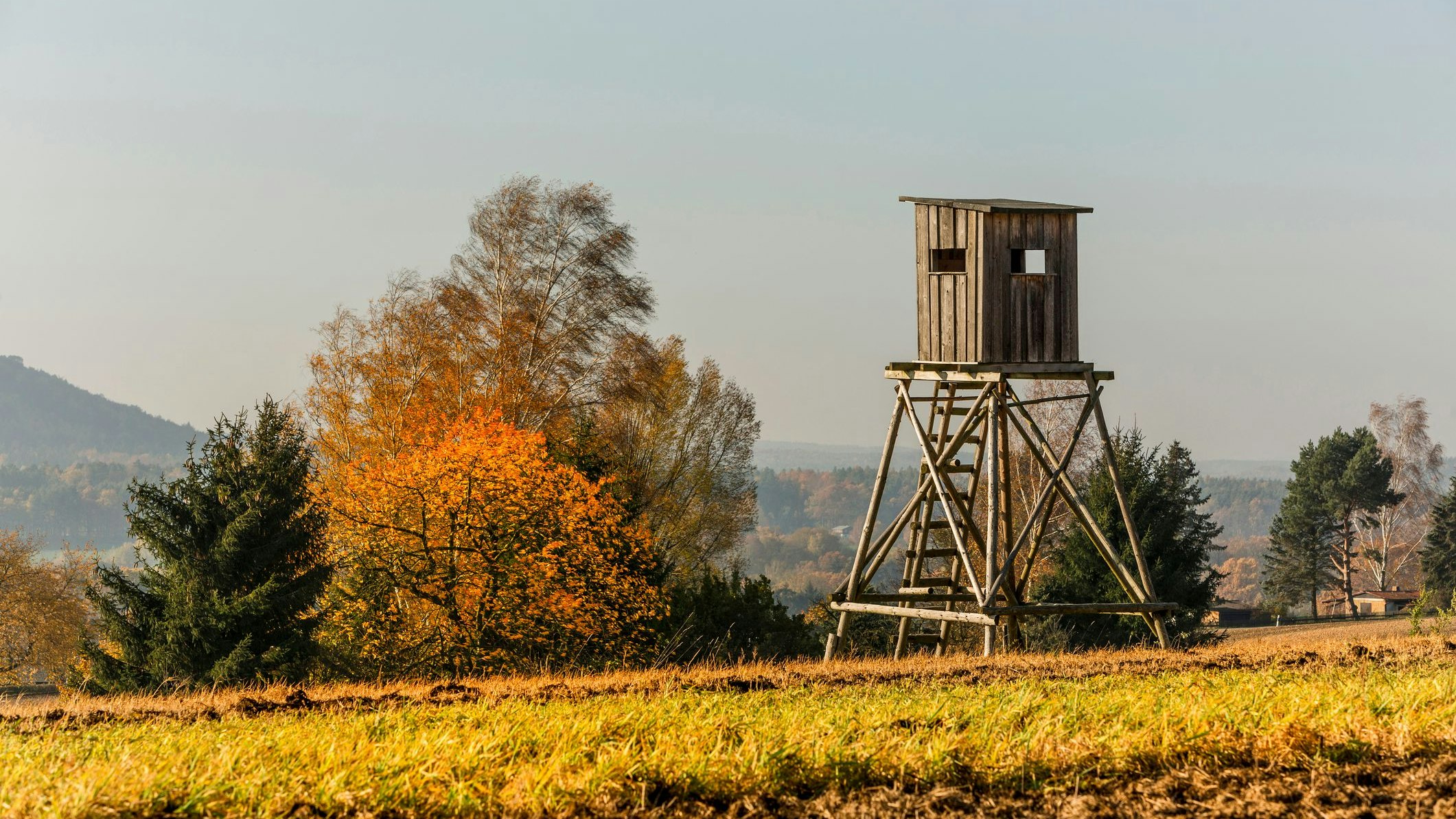 In Hartberg wurde ein Jäger bei einem tragischen Zwischenfall getötet. (Symbolbild)