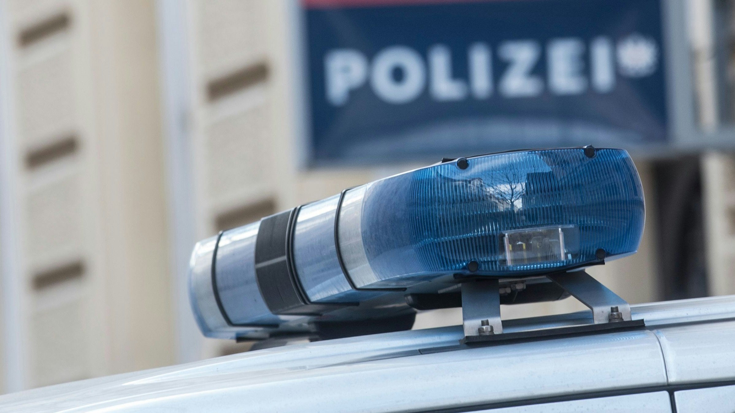 Heute.at - Hunde-Attacke! Zwei Hündinnen in Lebensgefahr