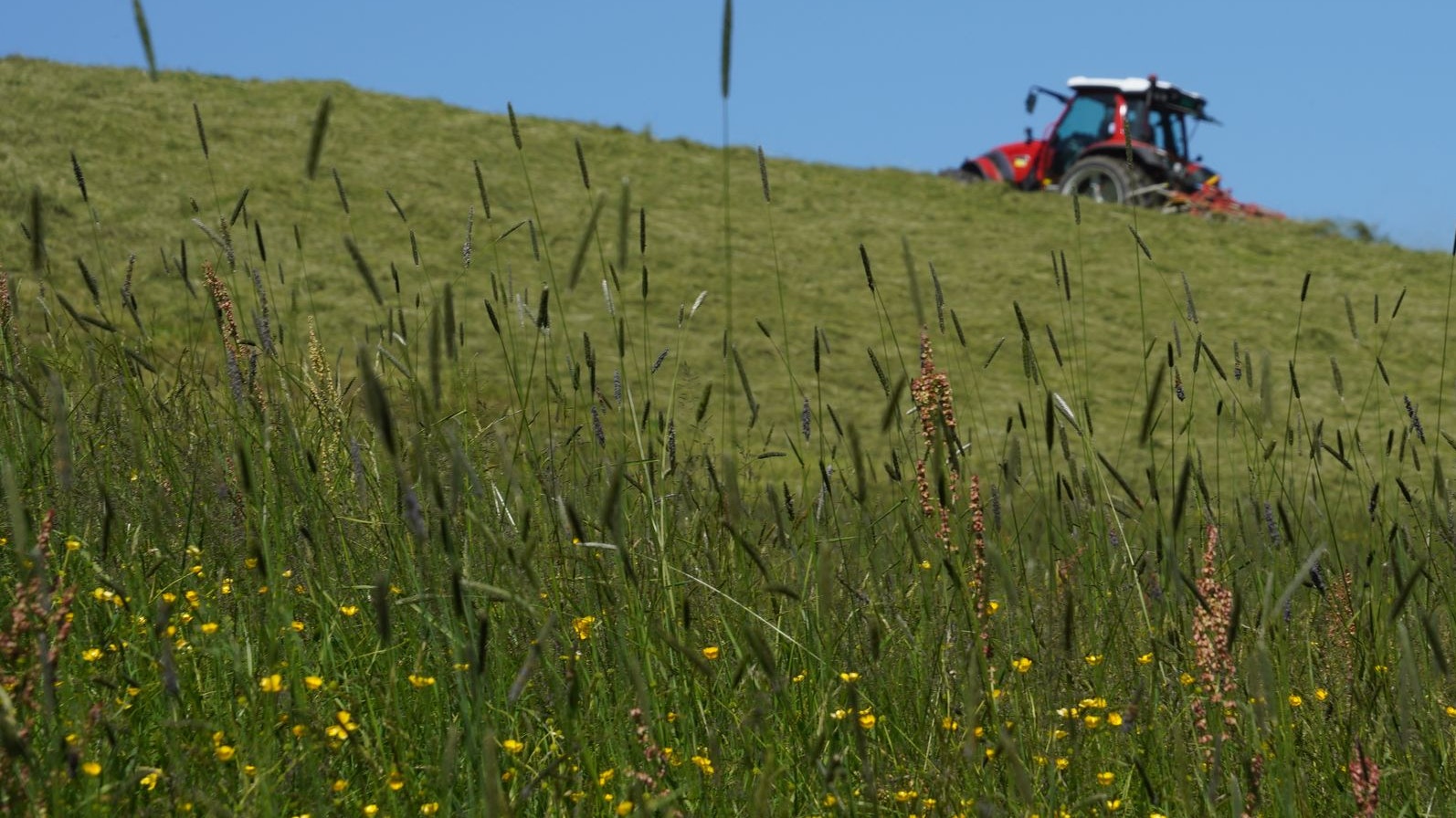 Das EU-Renaturierungsgesetz steht auf der Kippe. Gegner behaupten fälschlicherweise, es würde die Ernährungssicherheit gefährden.