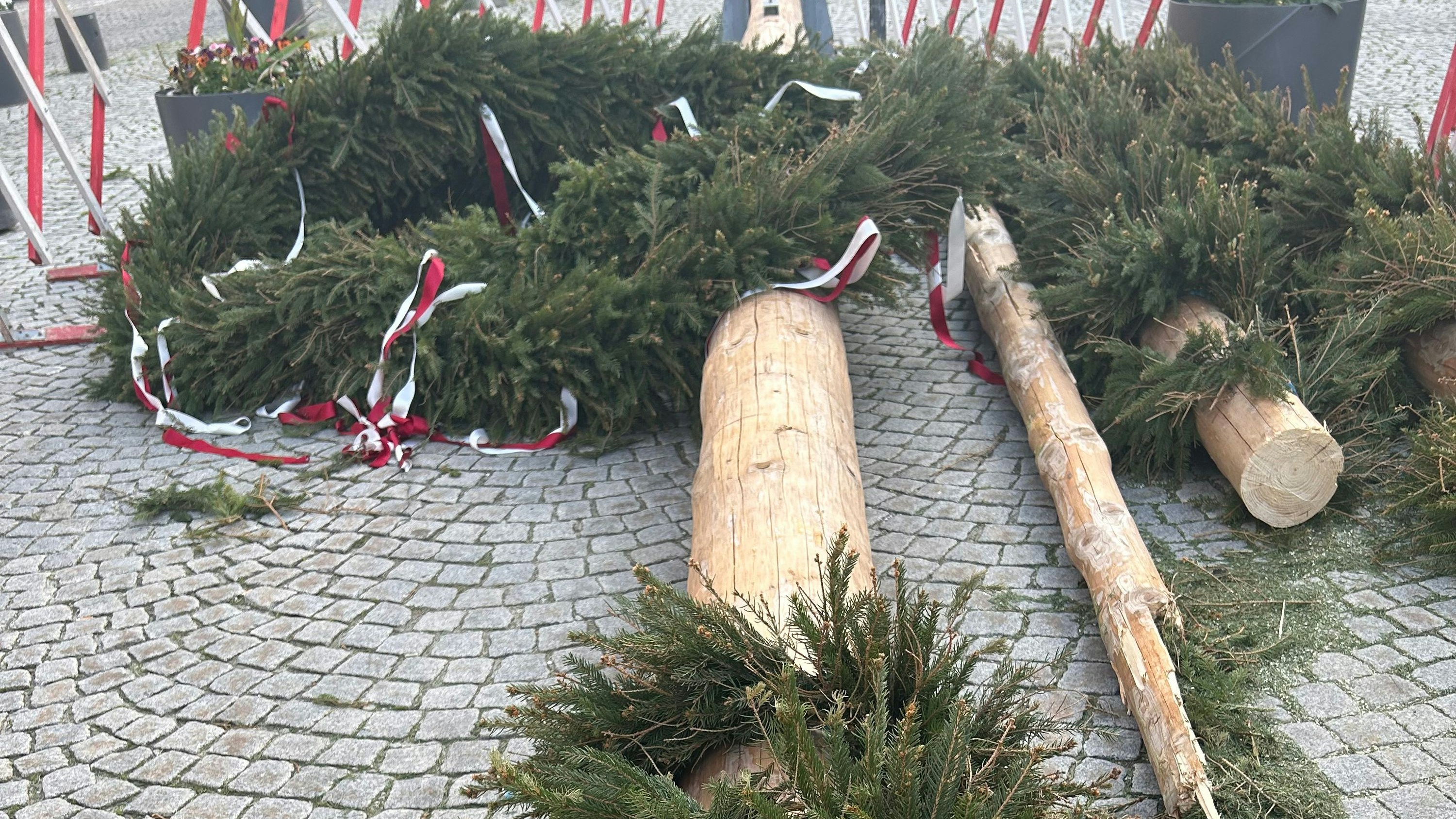 Der missglückte Maibaum-Diebstahl endete in Steyr mit einer großen Enttäuschung.