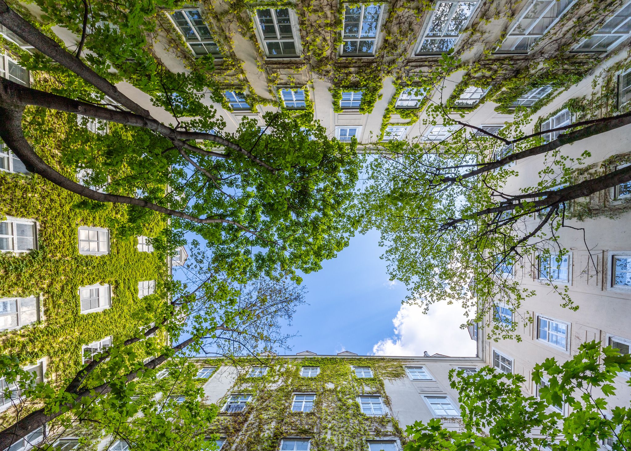 Grünflächen und Bäume sind wichtige CO2-Speicher, haben im Sommer einen kühlenden Effekt.