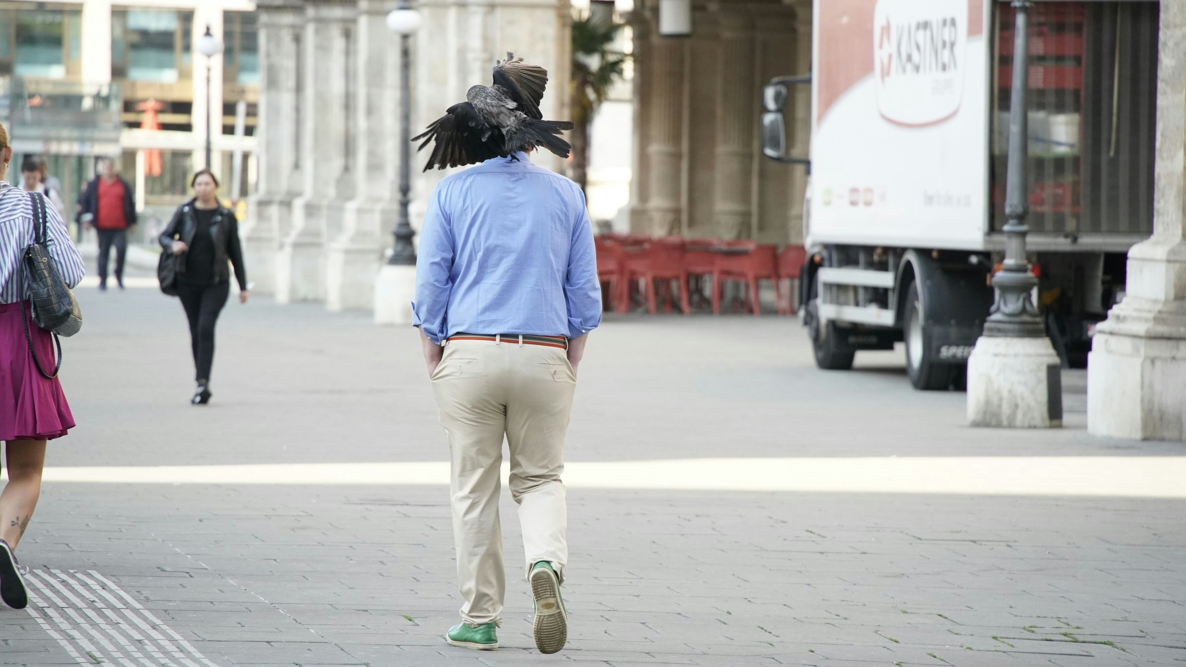 Die Vögel wollen ihre Küken beschützen - Leidtragende sind jedoch die Passanten.