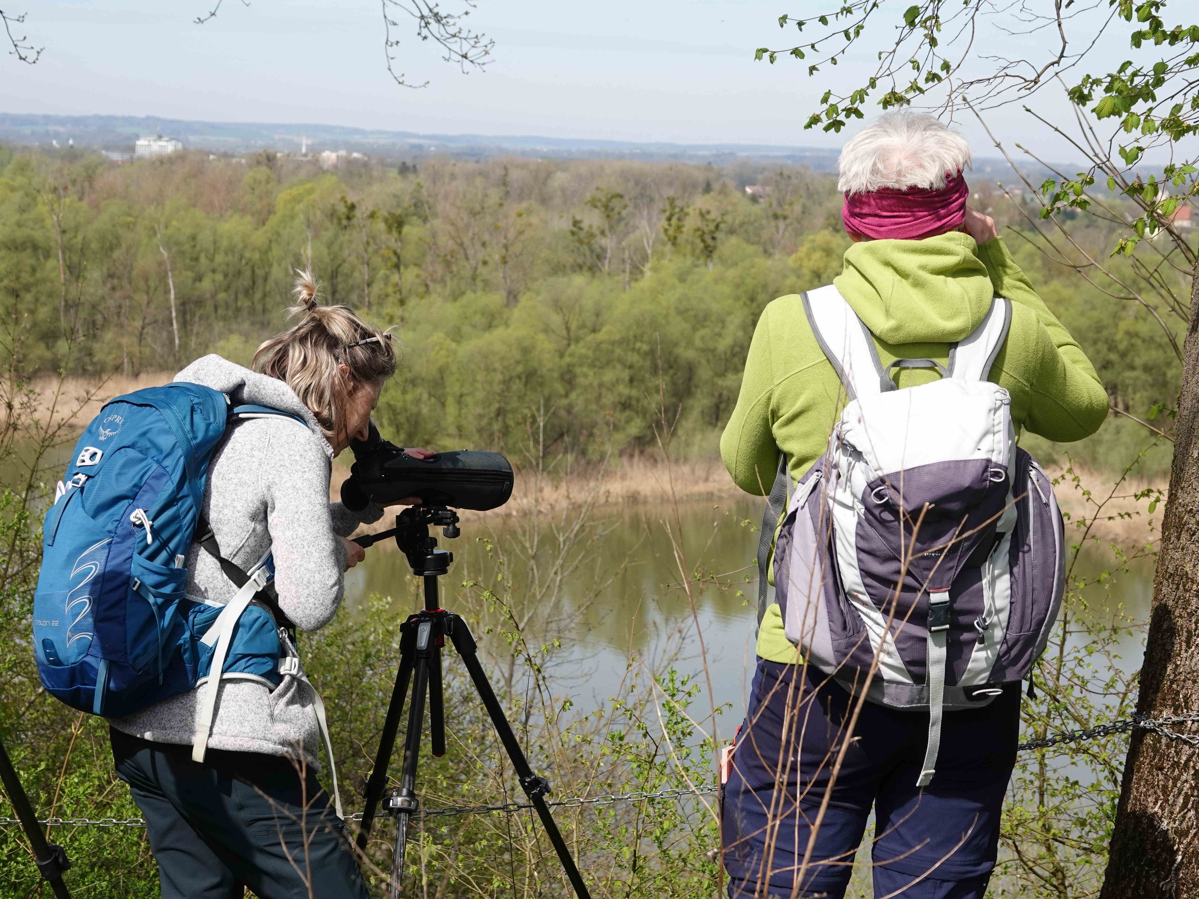 Auf dem Instagram-Kanal von BirdLife Österreich (@birdlife_austria) kannst du das 