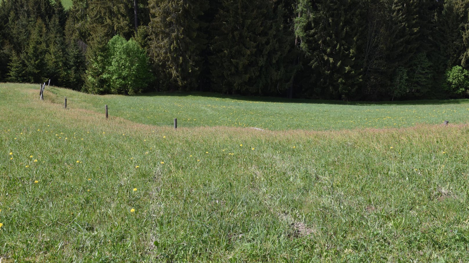 In der Nacht auf Samstag ereignete sich in Tirol ein schwerer Rodelunfall. Ein 25-Jähriger prallte mit dem Schlitten gegen einen Baum und wurde schwer verletzt.