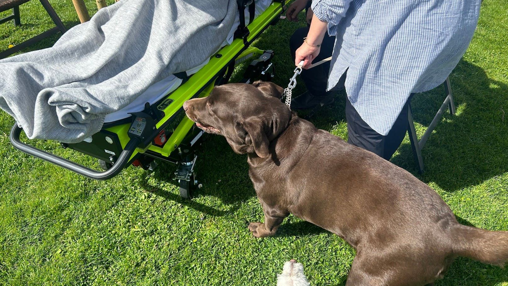 Die Hunde stehen neben Markus (28) und spüren, was bald passieren wird.