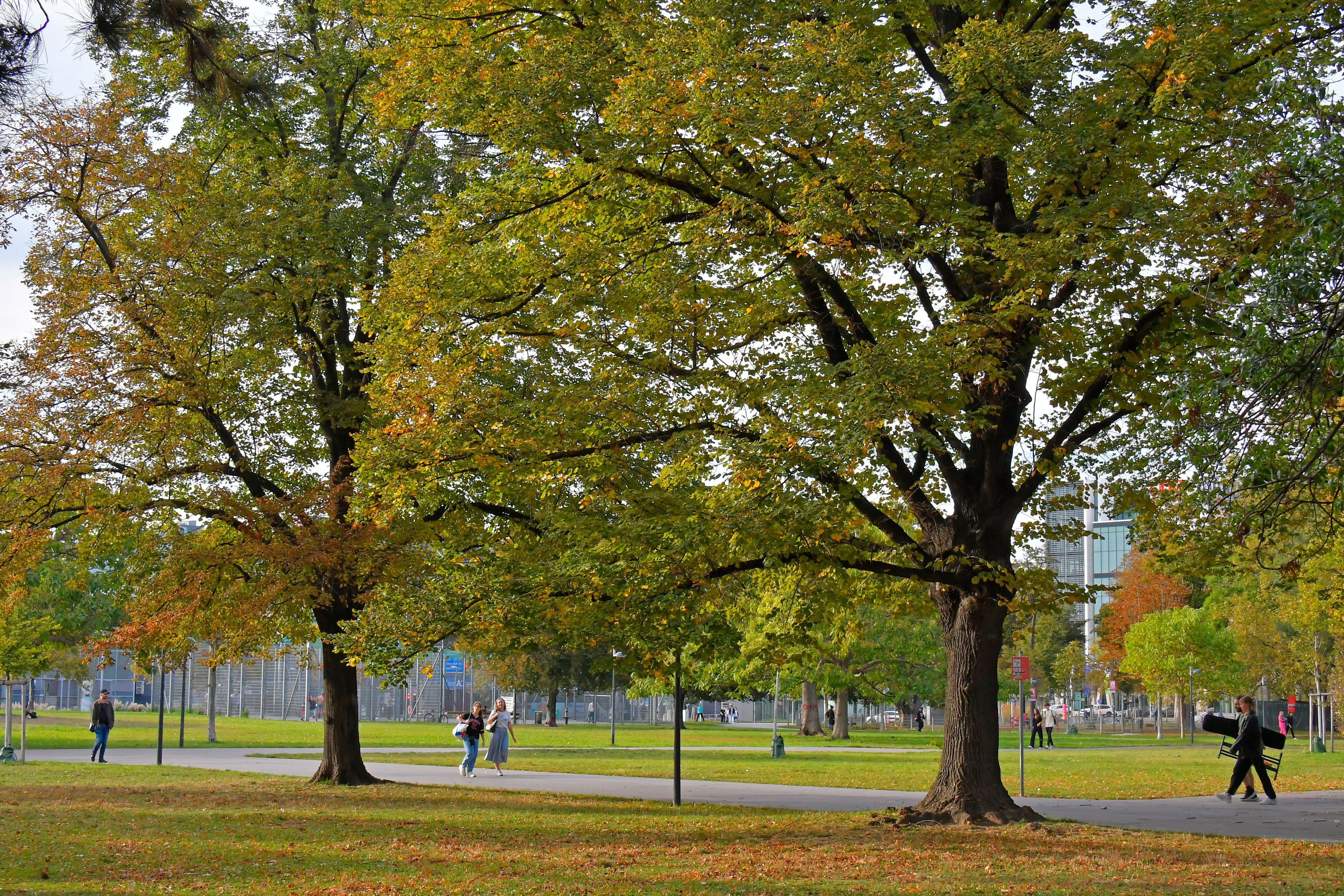 Die Venediger Au beim Wiener Prater. (Archivfoto)