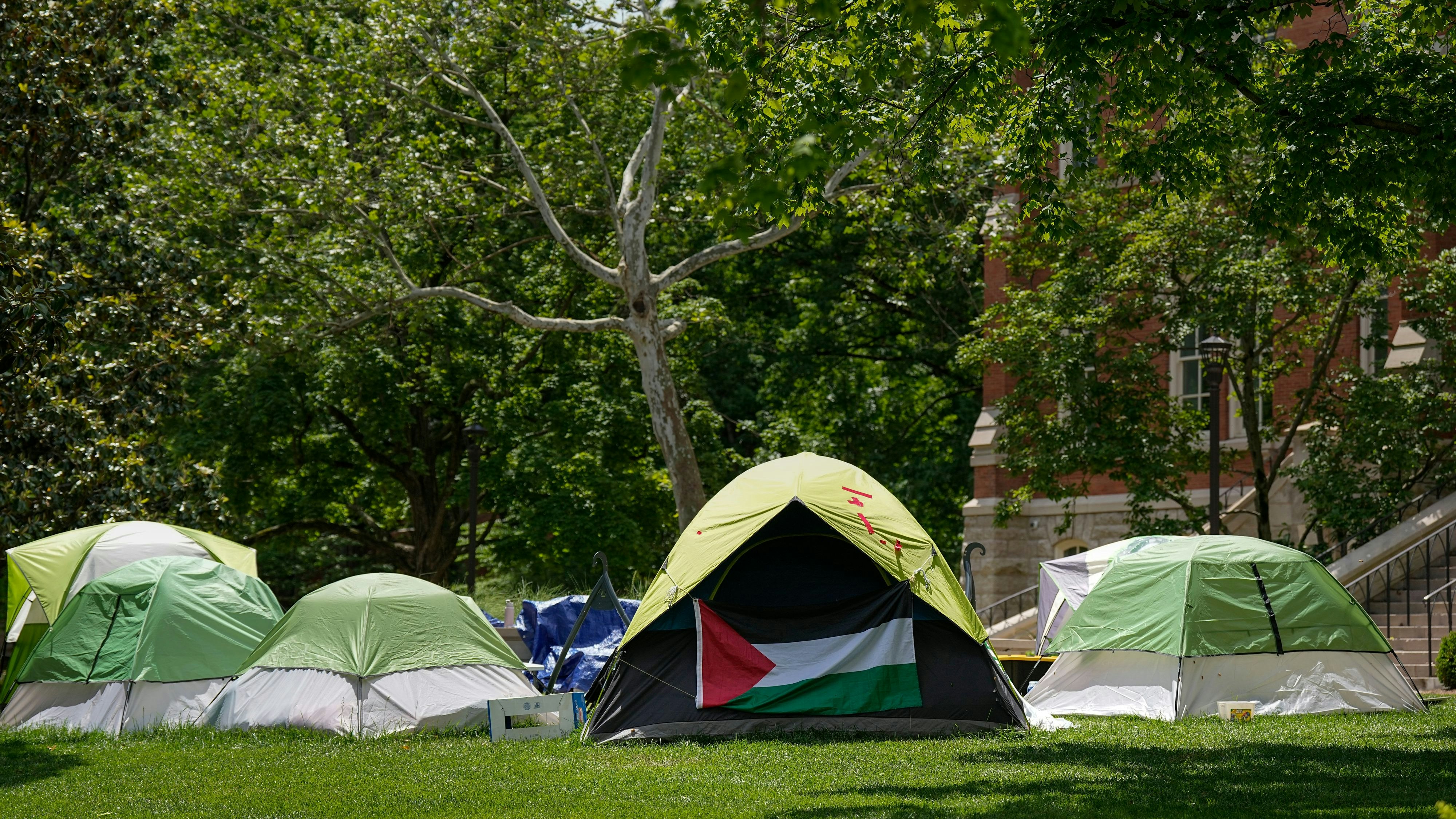 Auffallend viele Aktivisten verwenden dieselben Zelte (hier Vanderbilt University in Nashville, Tennessee)