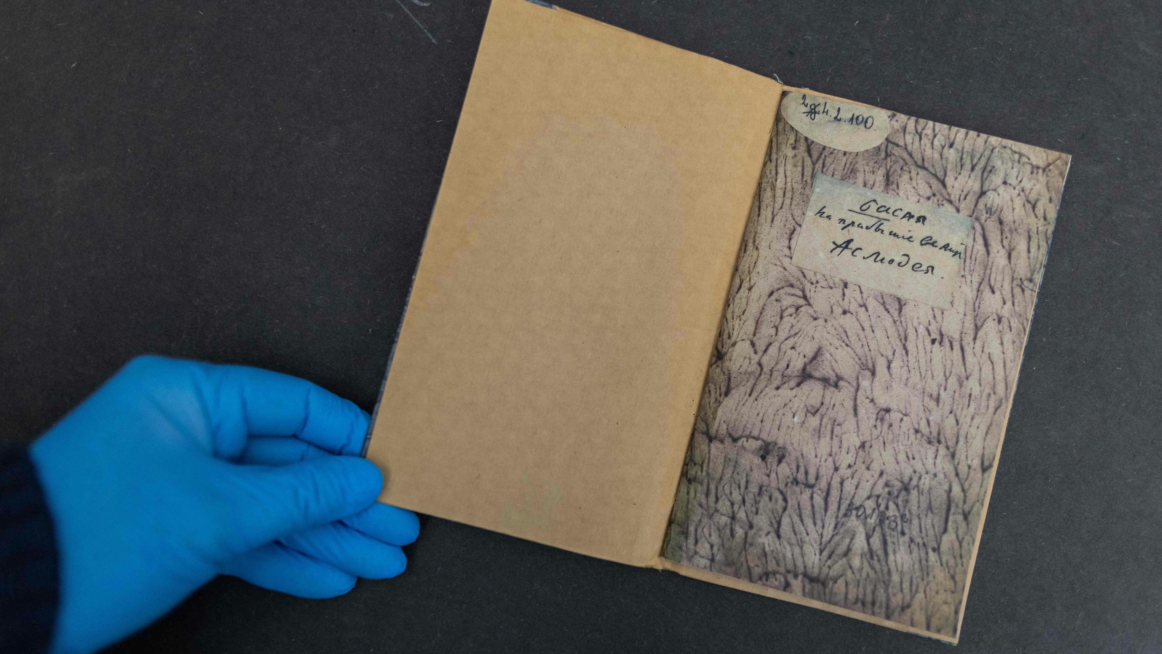 Kopie eines Buches aus dem Jahr 1813, das aus der Warschauer Universitätsbibliothek gestohlen wurde. SOgar die Stockflecken auf den Seiten wurden von den Dieben kopiert