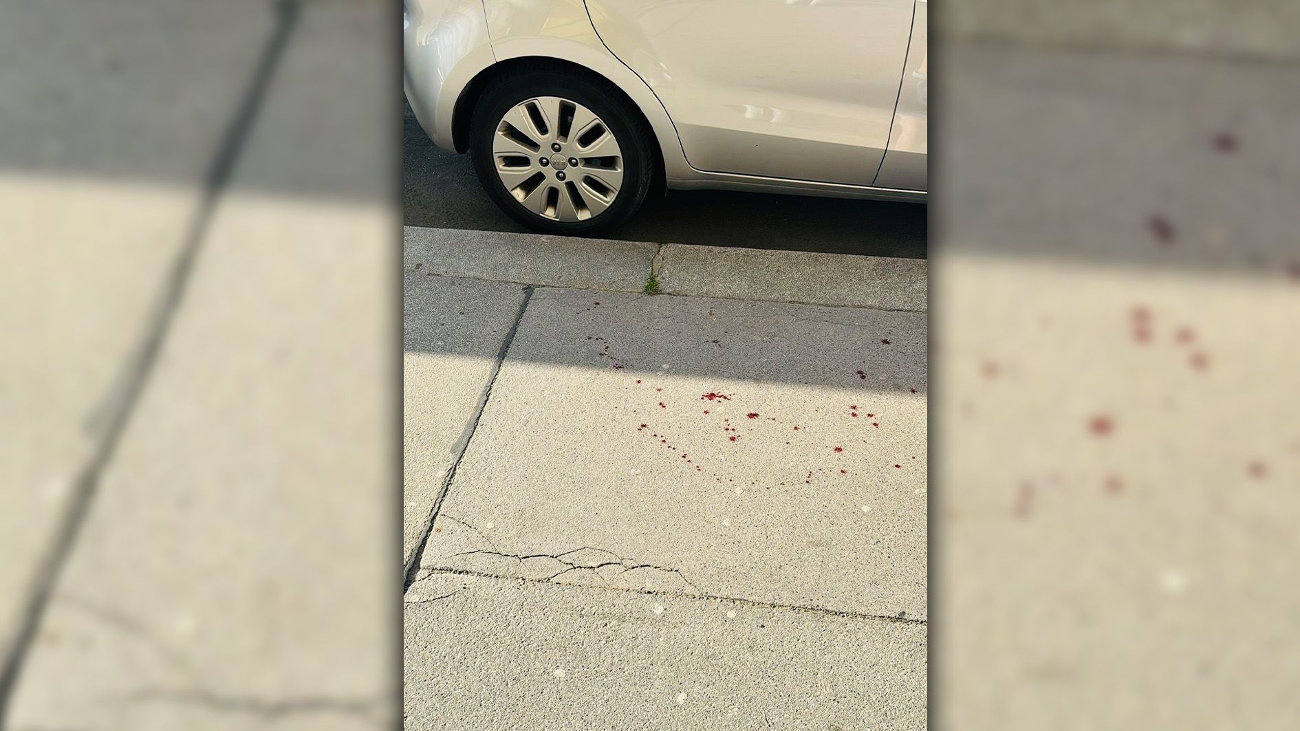 Brutaler Vorfall – Ein Jogger wurde am Sonntagnachmittag im 15. Bezirk zusammengeschlagen.